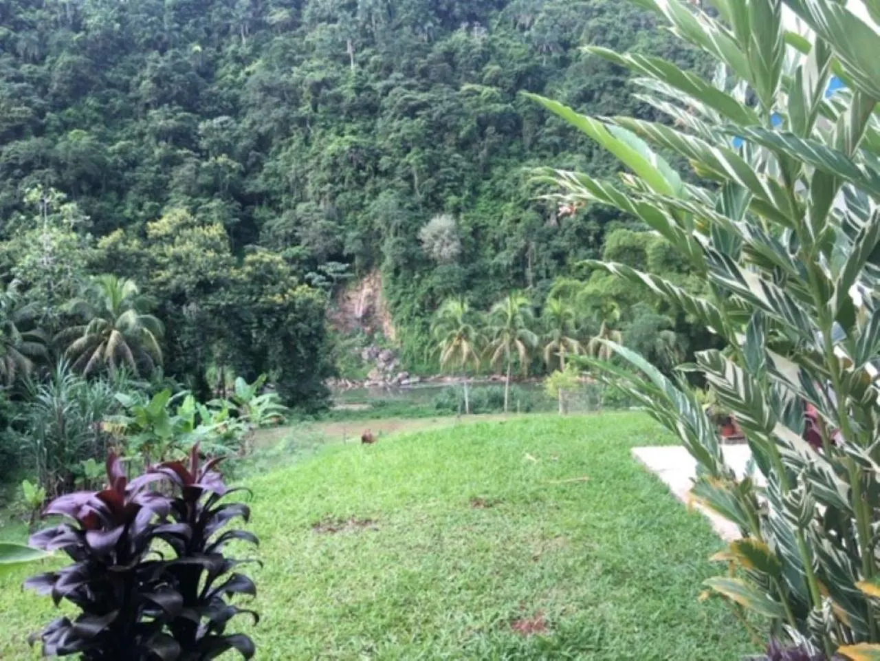 Casa De Campo Rio Arriba Arecibo Puerto Rico